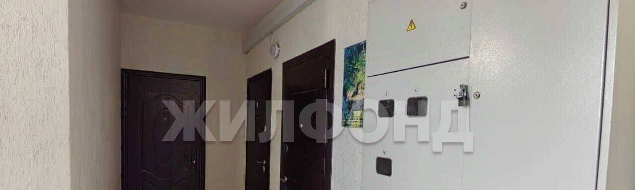 квартира г Новосибирск ул Николая Грицюка 1/4 Площадь Маркса фото 18