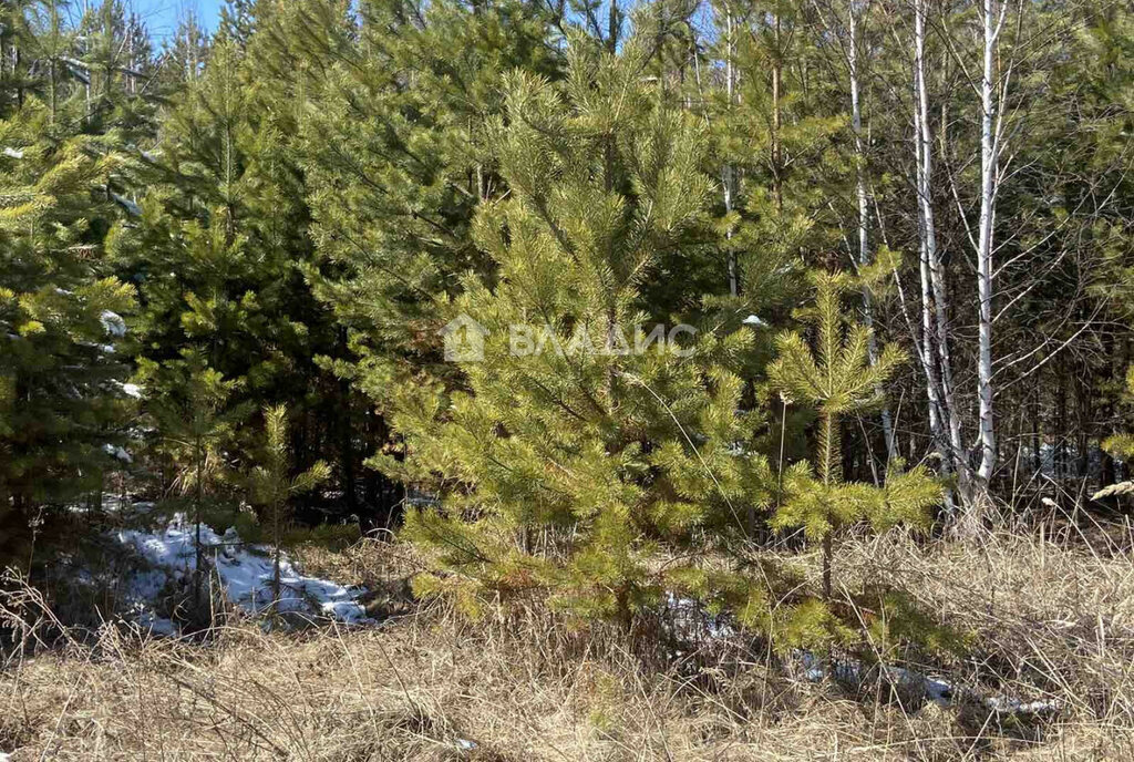 земля г Ангарск 255-й квартал фото 4