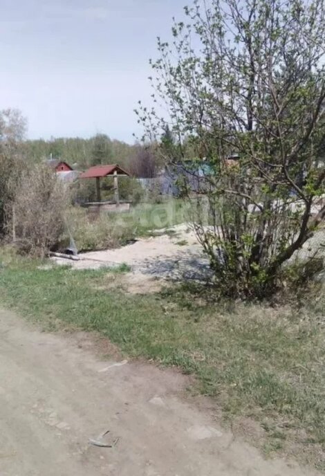 земля г Омск территория СОСН Биолог фото 6