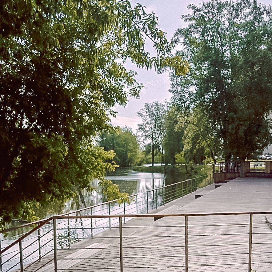 квартира г Самара р-н Куйбышевский ул Осетинская 4 фото 28