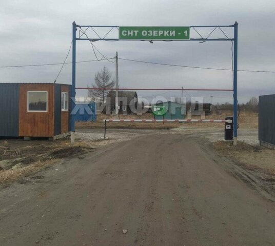 земля Заельцовская фото