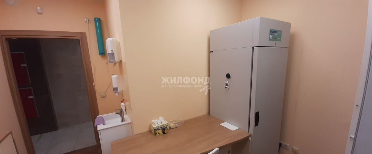 свободного назначения г Новосибирск р-н Центральный Гагаринская ул Мичурина 24 фото 12