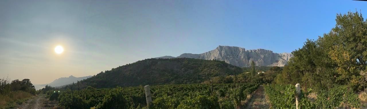 земля г Ялта пгт Парковое Ялта-Парк-Хиллз жилой комплекс фото 6
