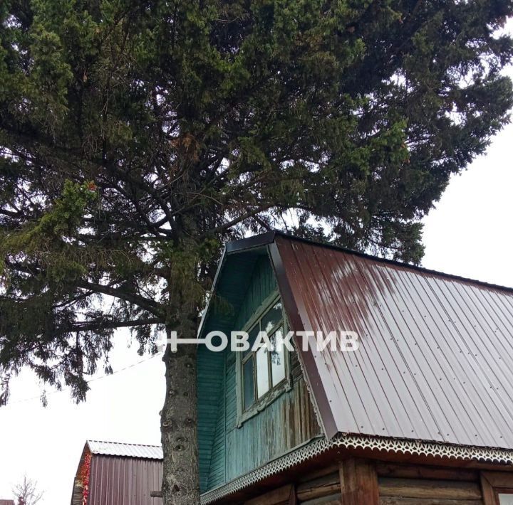 дом г Новосибирск Студенческая снт Рассвет 40 фото 3