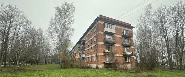 ул Меньковская 3 Войсковицы фото