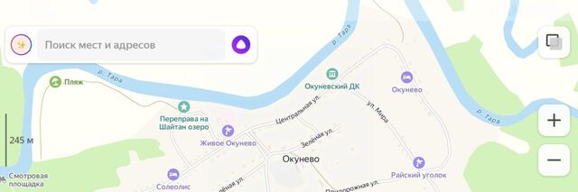 д Окунево Бергамакское с/пос фото