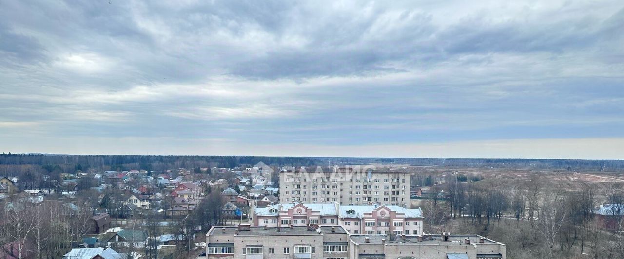 квартира городской округ Пушкинский г Красноармейск ул Морозова 16 фото 3