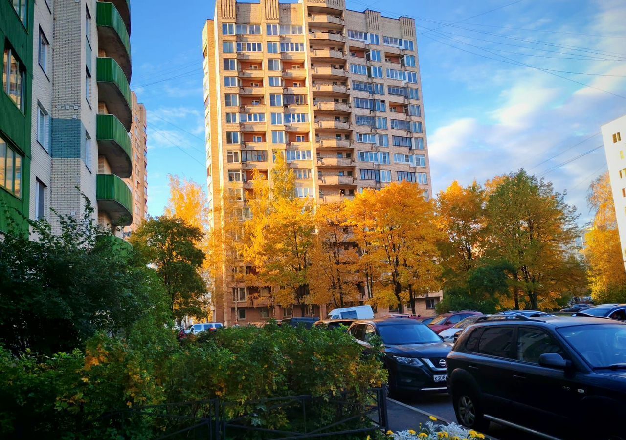 квартира г Санкт-Петербург метро Площадь Мужества ул Замшина 31к/4 фото 20