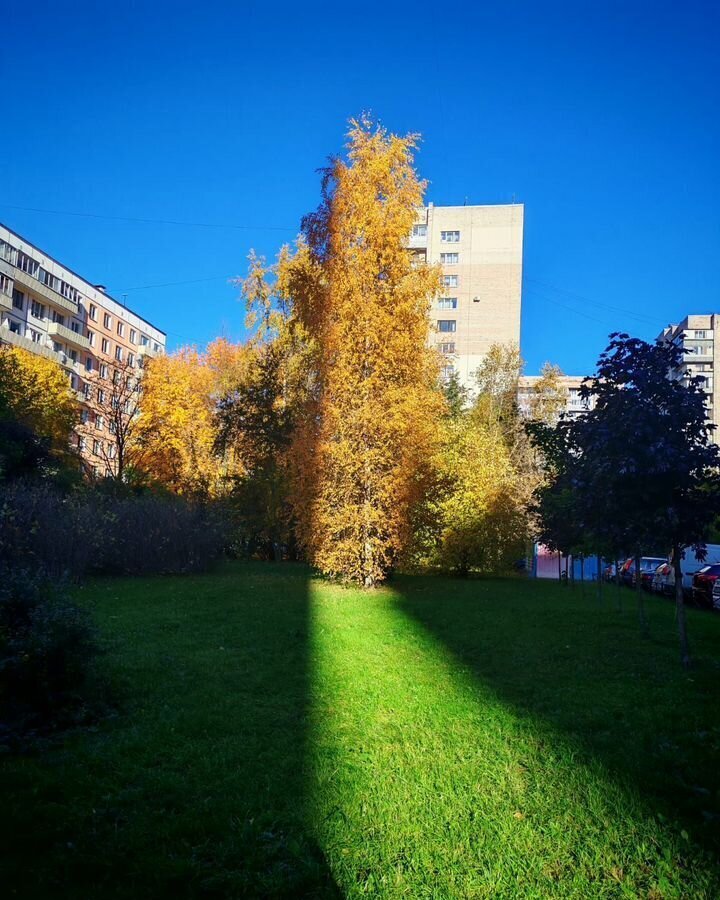 квартира г Санкт-Петербург метро Площадь Мужества ул Замшина 31к/4 фото 21
