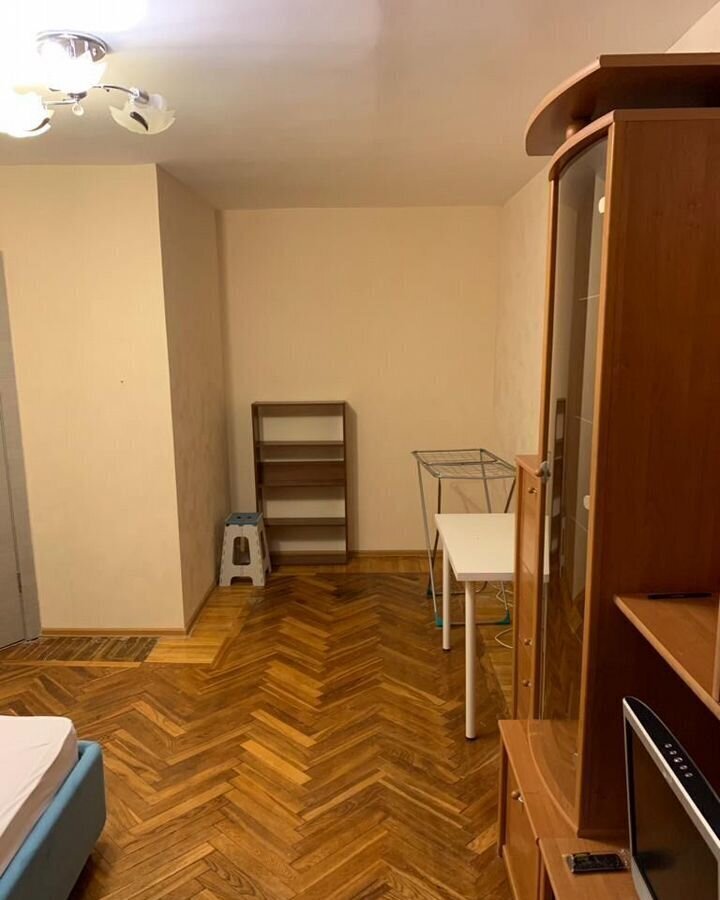 квартира г Санкт-Петербург метро Удельная ул Гданьская 12 фото 12