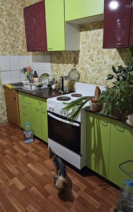 квартира г Москва метро Бабушкинская ул Молодцова 31к/3 фото 7