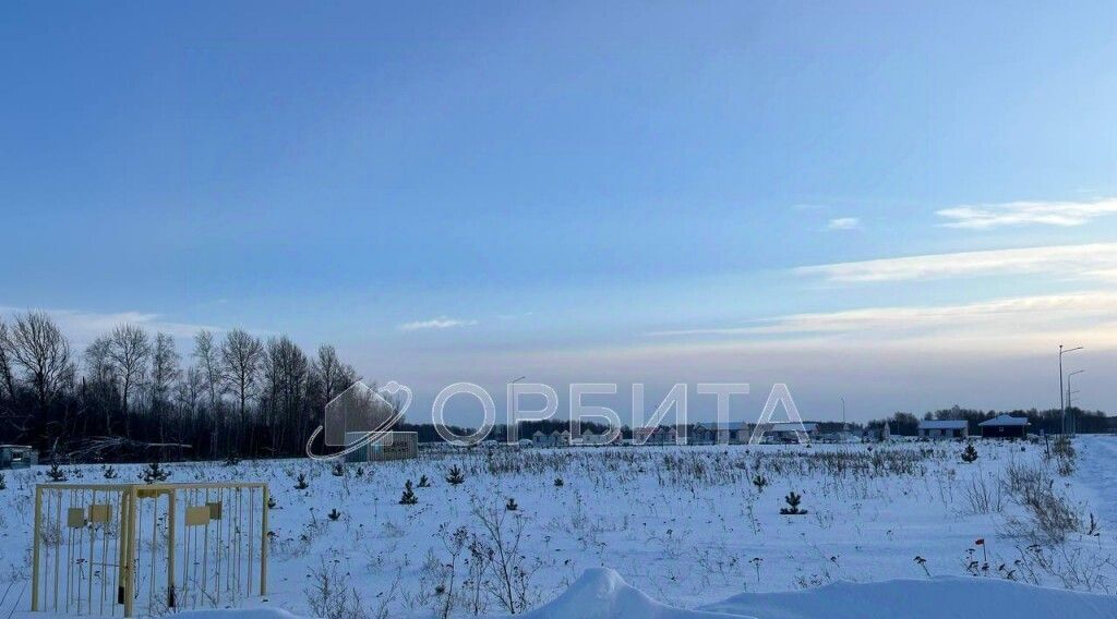 земля г Тюмень р-н Центральный снт Ясень фото 2
