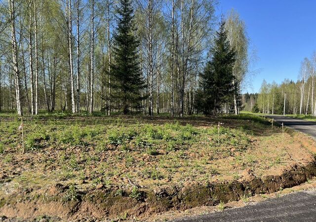 ул Полевая 68 км, Краснозаводск, Ярославское шоссе фото