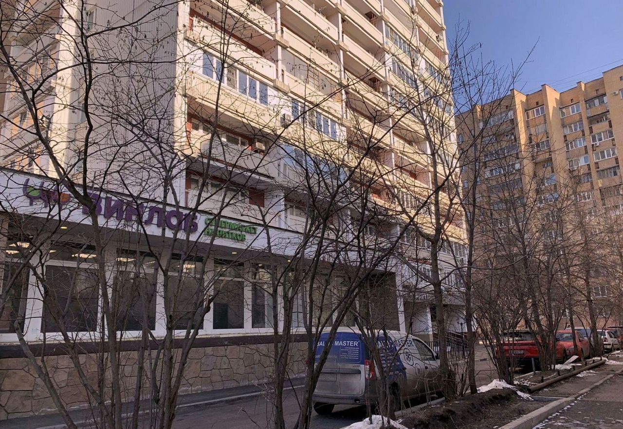 квартира г Москва метро Кузьминки пр-кт Волгоградский 131к/4 фото 5