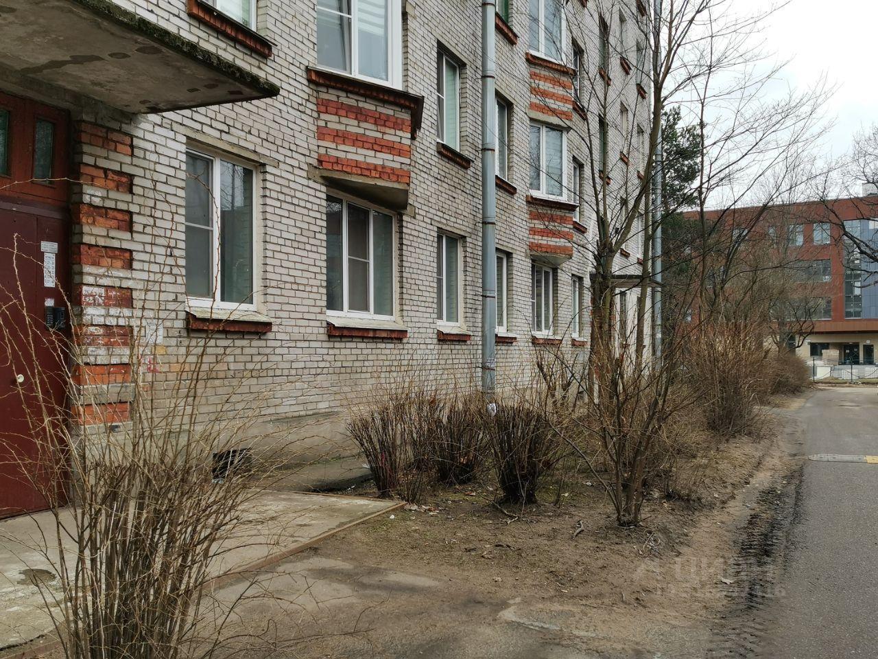квартира г Сестрорецк ш Приморское 306 р-н Курортный Ленинградская область фото 13