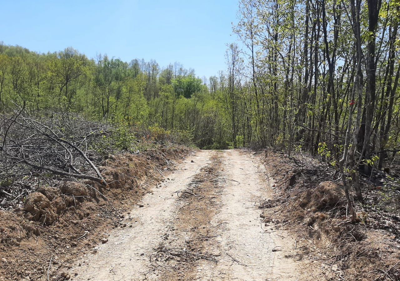 земля г Геленджик с Дивноморское тер. ДНТ Океан фото 2