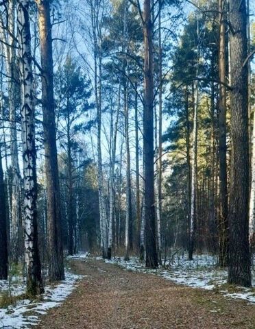 пос. Лесных поместий Острова, Багамы кв-л, Белоярский муниципальный округ фото