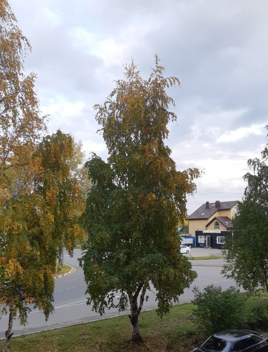 квартира г Сургут ул Мелик-Карамова 24 28А фото 2