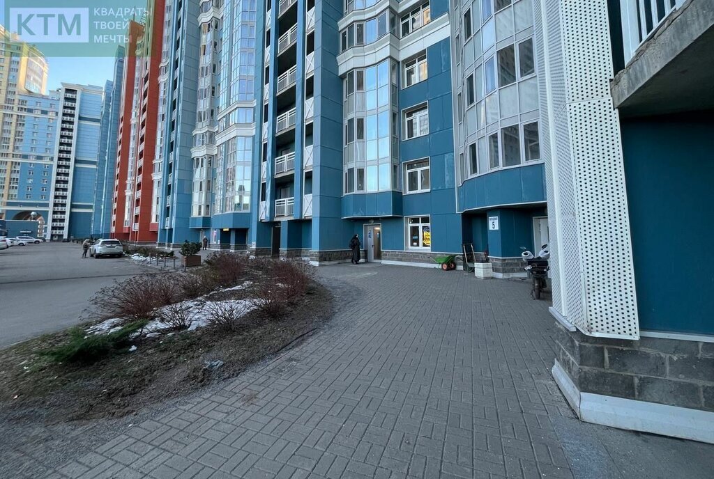свободного назначения г Санкт-Петербург метро Проспект Просвещения пр-кт Просвещения 43 фото 3