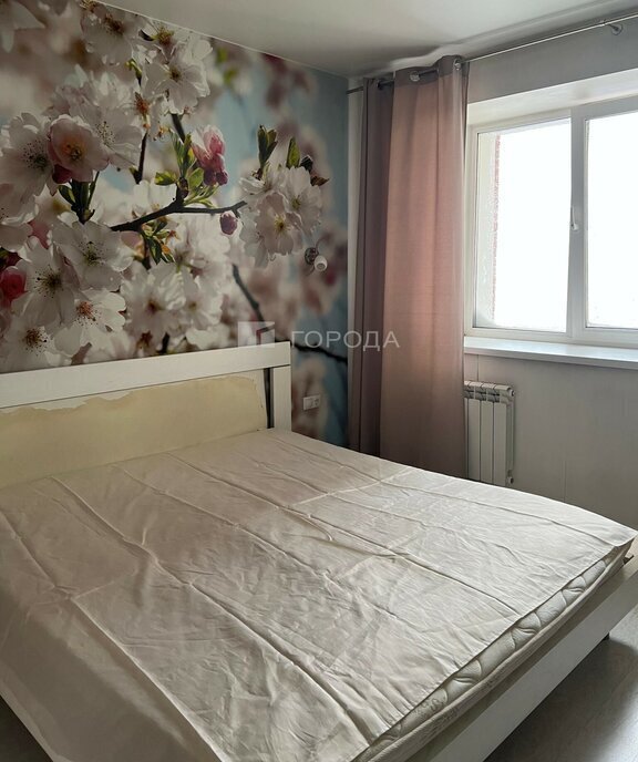 квартира г Новосибирск Октябрьская ул Сакко и Ванцетти 31/1 фото 1