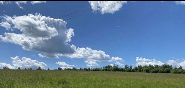 Погорельское сельское поселение, д. Новое фото