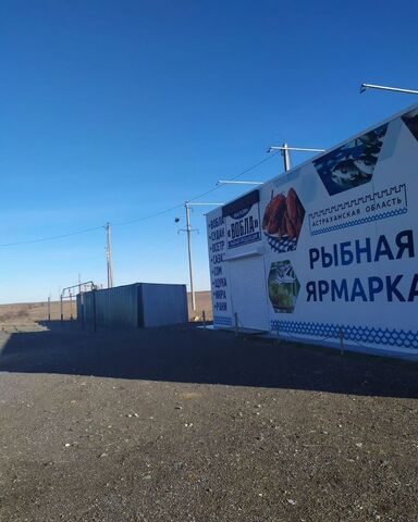 пр-кт Мира Сасыколи фото