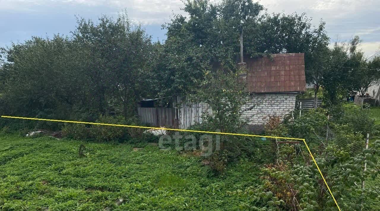 земля г Бор тер. ТСН Труд фото 17