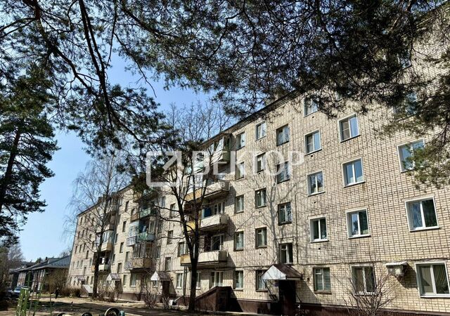 ул Спортивная 1 Ветлужский фото