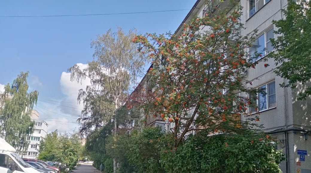 квартира г Великий Новгород ул Кочетова 43к/3 фото 12