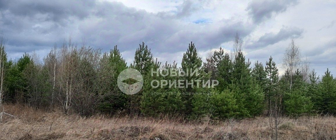 земля г Полевской с Курганово Горный Щит фото 4