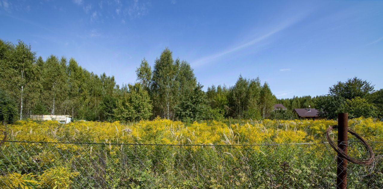 земля г Дзержинск снт Ивушка 47, Богородский муниципальный округ фото 11
