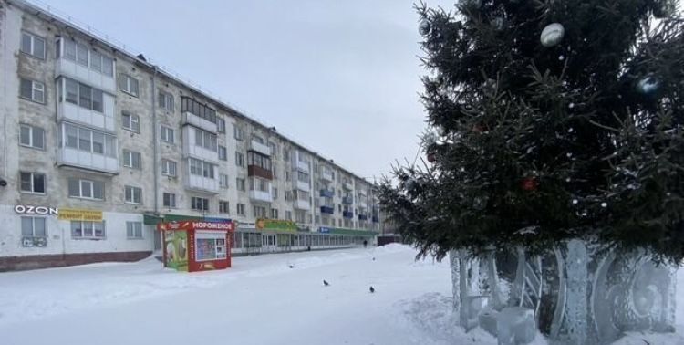 квартира г Кемерово р-н Рудничный ул Новогодняя 16 фото 24