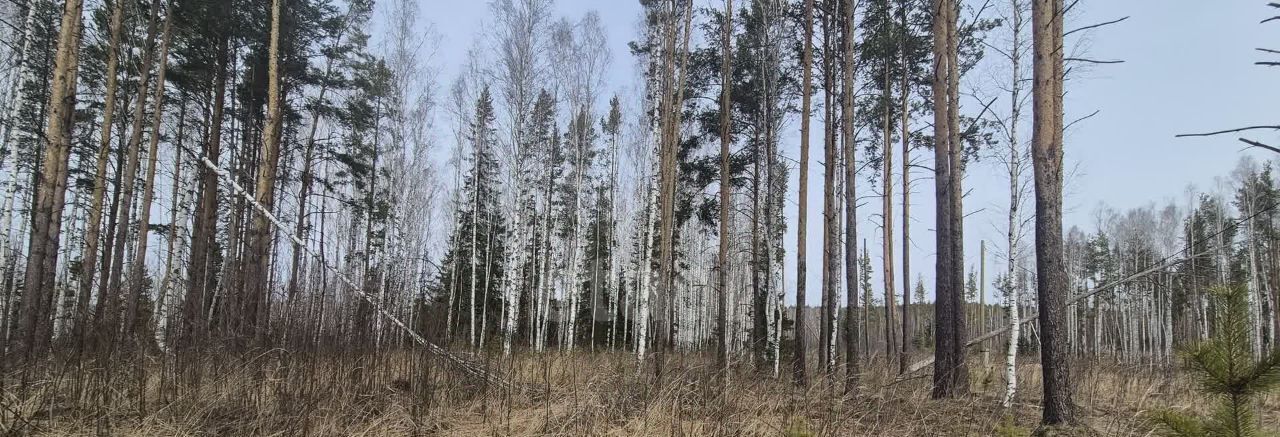 земля г Дегтярск ул Мира 23 фото 1