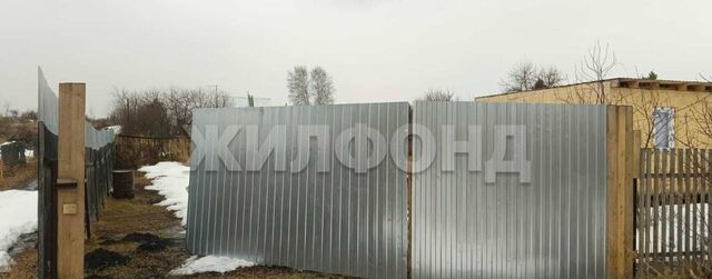 река Чик фото