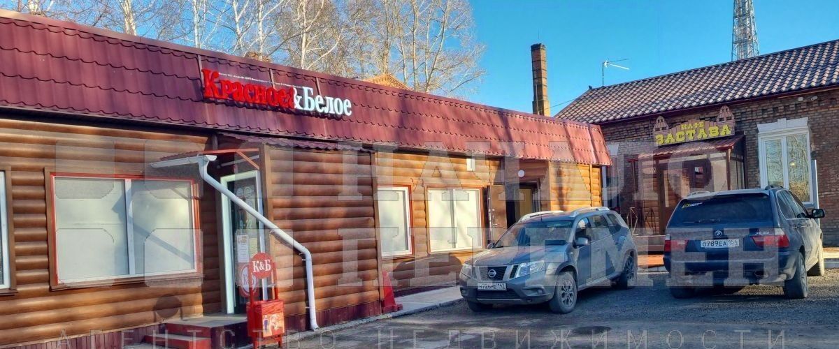 торговое помещение г Новосибирск р-н Октябрьский тер Военного городка 29к/1 фото 15