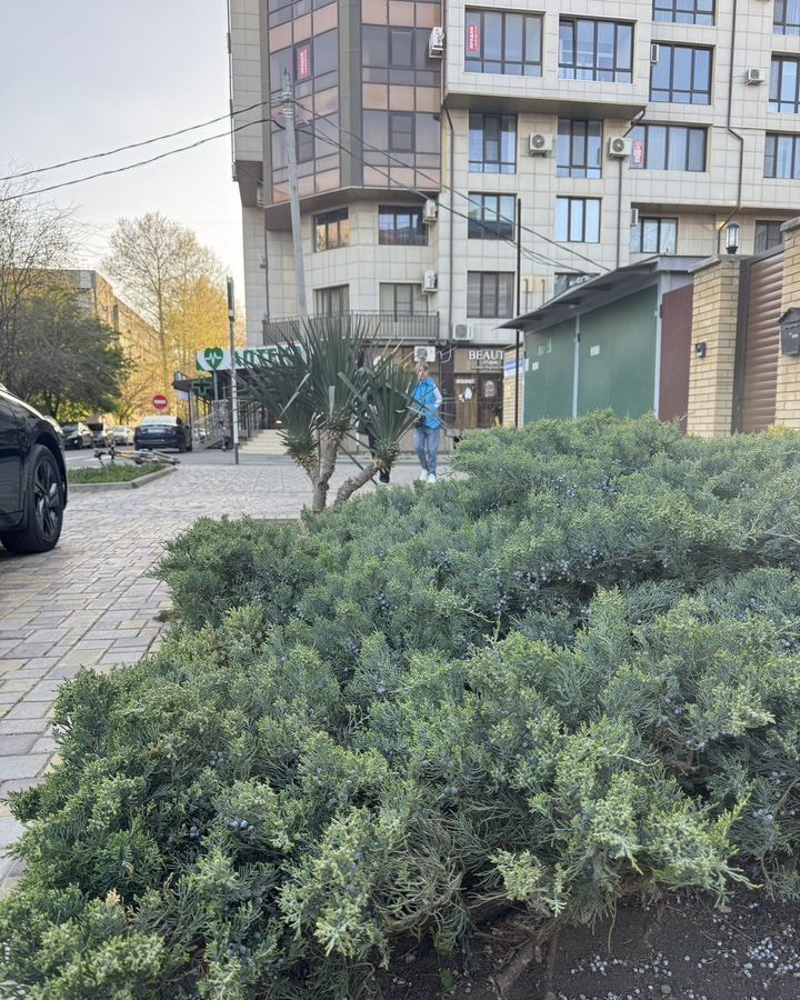 торговое помещение р-н Анапский г Анапа ул Новороссийская 265 фото 18