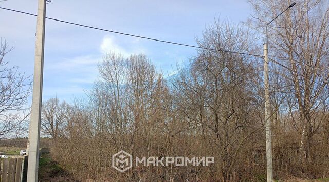 ул Мирная Нетьинское с/пос фото