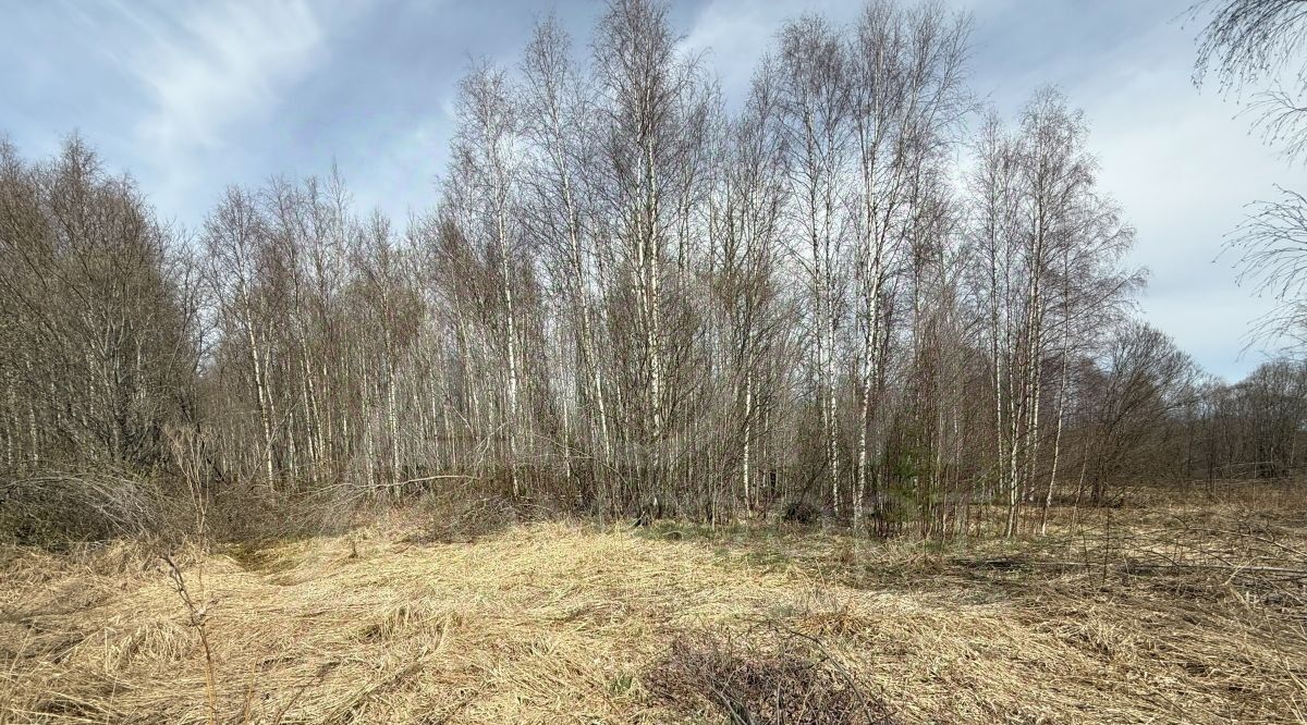земля р-н Выборгский г Выборг р-н Сайменский ул Младших Командиров фото 3