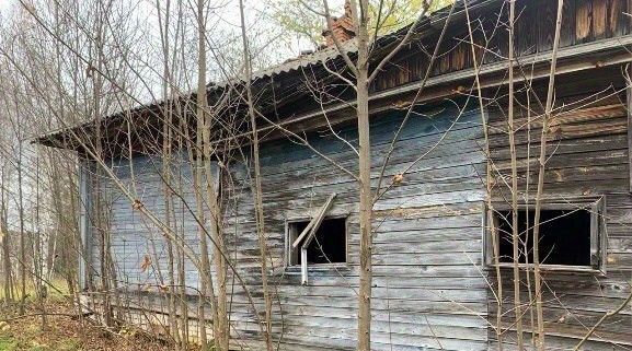 р-н Воскресенский д Галибиха фото