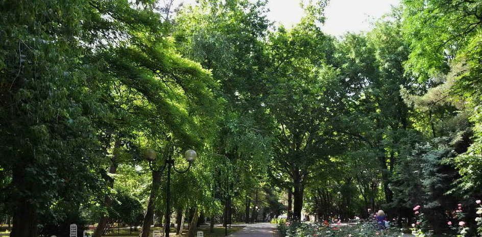 квартира г Новороссийск р-н Южный проезд Мореходный 5к/2 фото 8