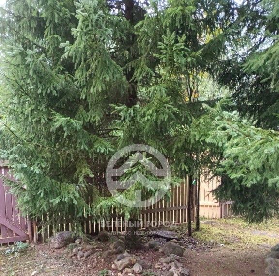 дом г Истра Объектив садовое товарищество, 28 фото 12