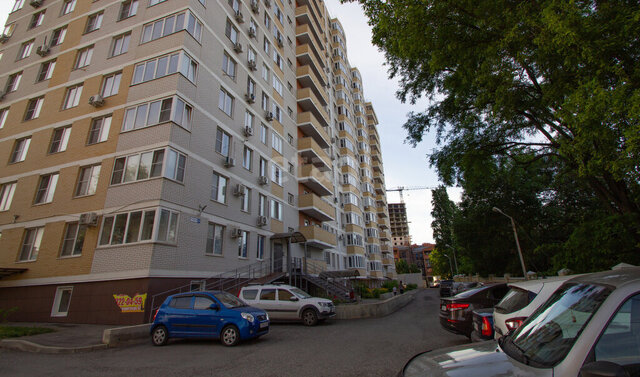 Берберовка фото