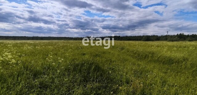 земля муниципальное образование Пекшинское фото