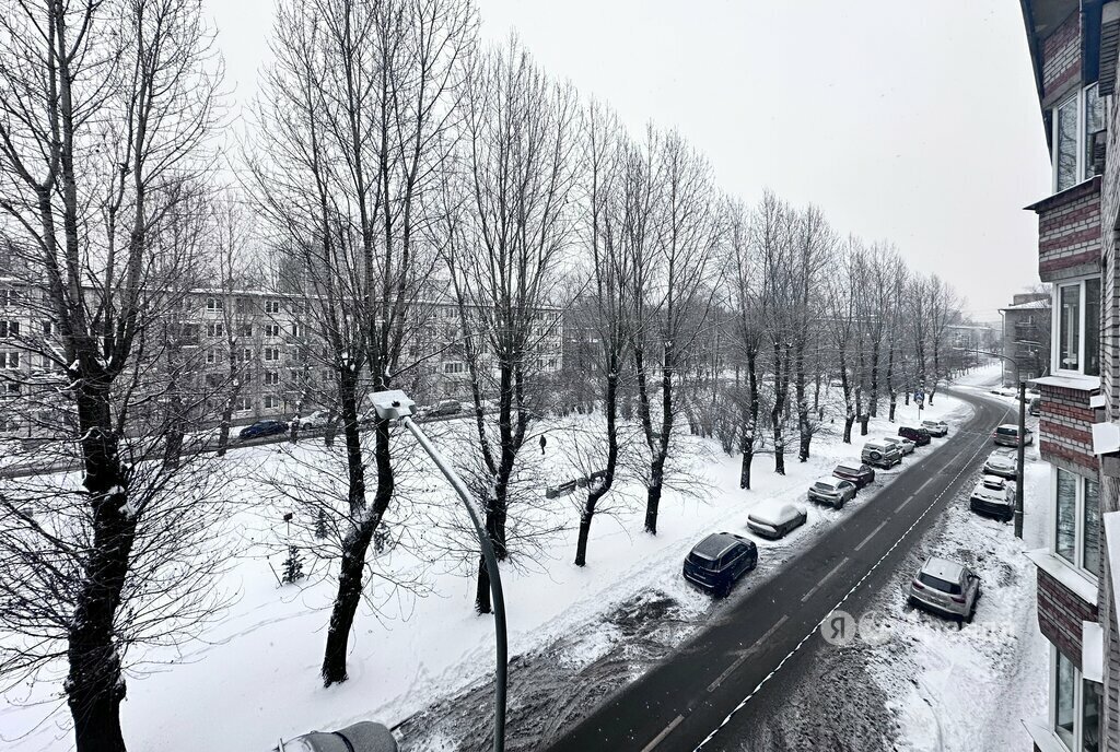 квартира г Санкт-Петербург Черная Речка ул Новосибирская 18/5 фото 11