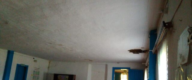 р-н Молчановский д Нижняя Фёдоровка ул Зеленая фото