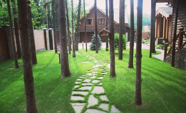 27 км, Икша, Дмитровское шоссе фото
