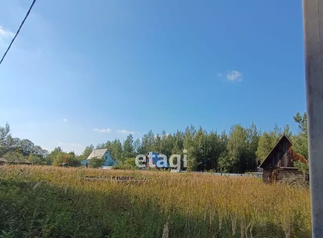 г Петушки ул Ленковой фото