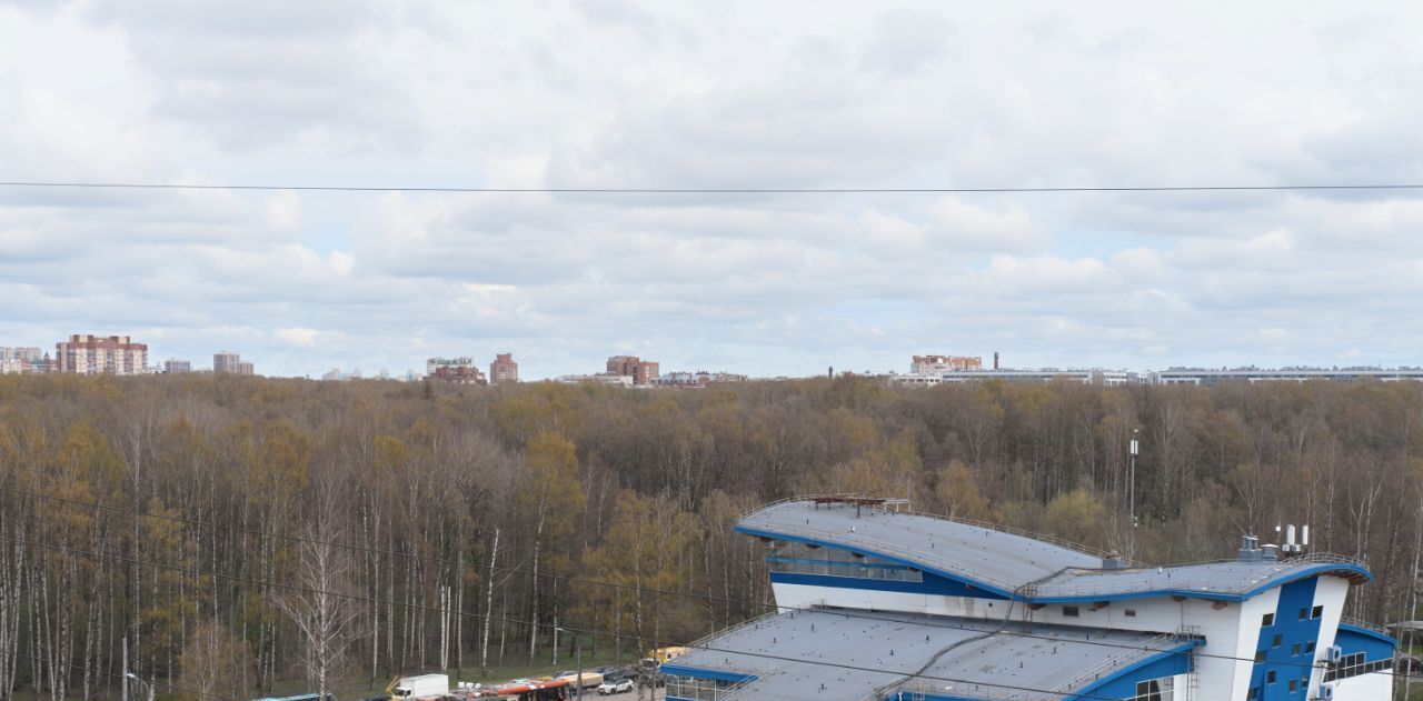 квартира г Санкт-Петербург метро Пионерская пер Ипподромный 1к/1 фото 9