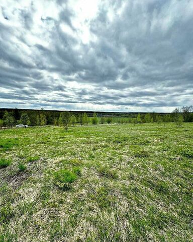Любытинское сельское поселение, д. Княжее Село-1 фото