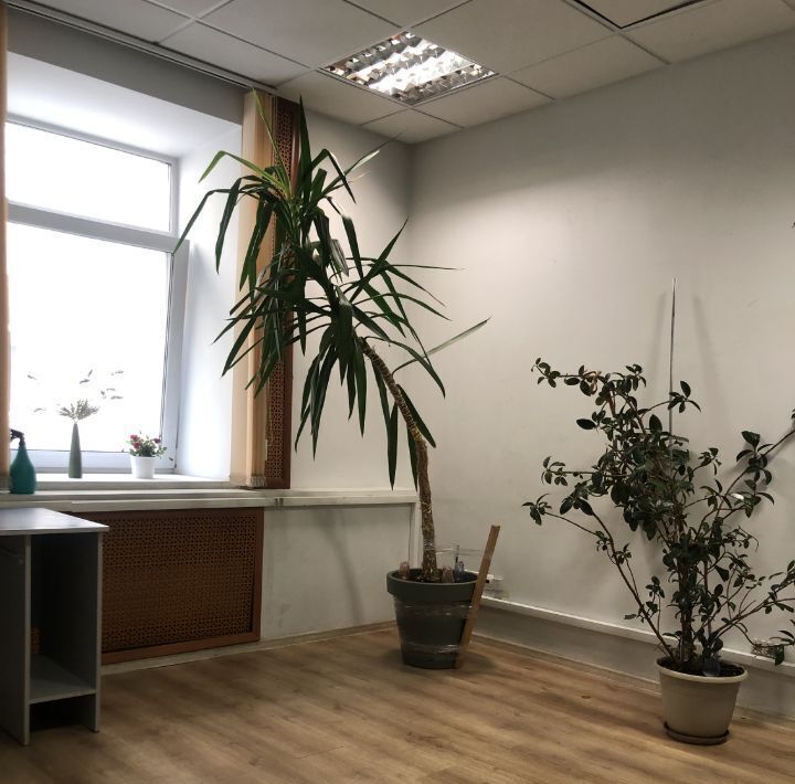 офис г Москва метро Пушкинская пер Козихинский Б. 22с/2 фото 4